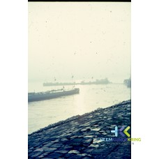 F00001929
